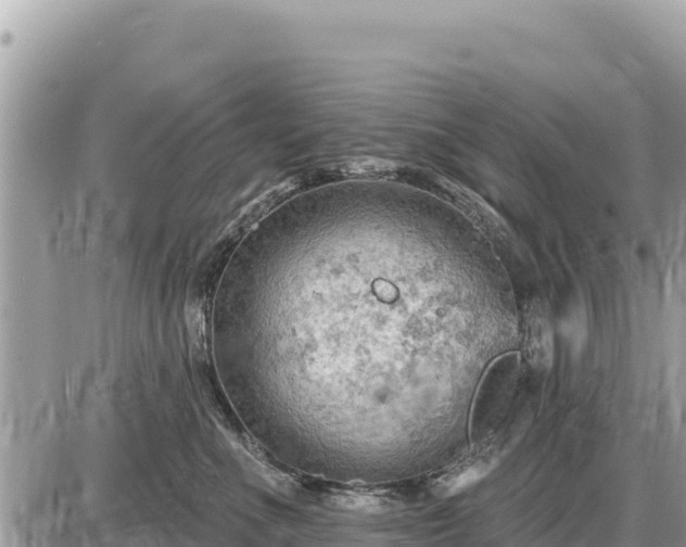 X0000087550523200705041331