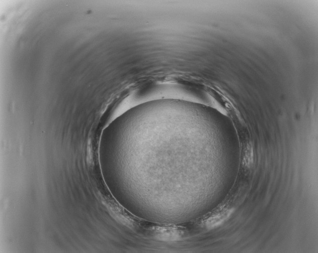 X0000087550524200705041331