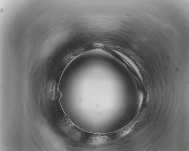 X0000087550525200705041331