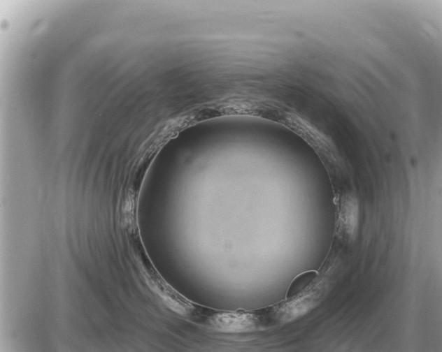 X0000087550526200705041331