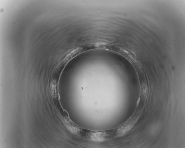 X0000087550527200705041331