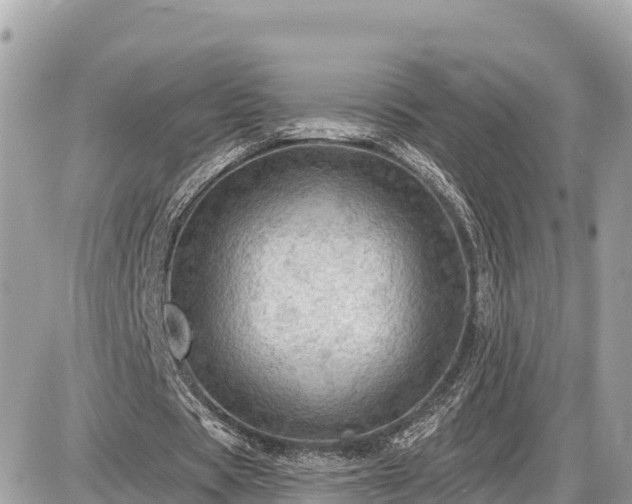 X0000087550529200705041330