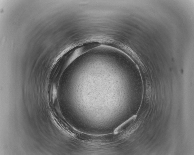 X0000087550530200705041330