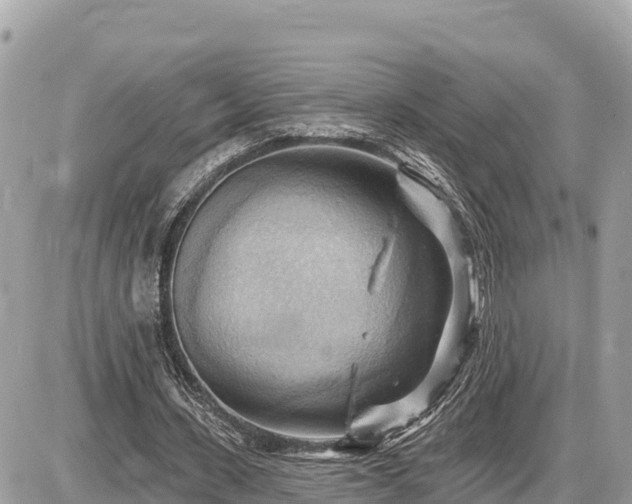 X0000087550531200705041330