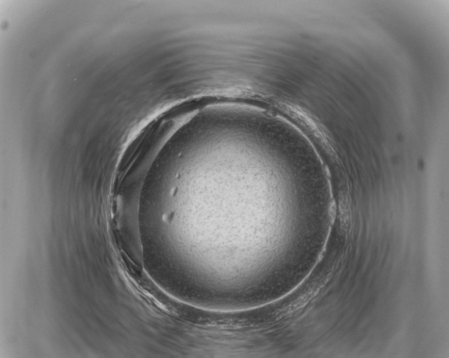 X0000087550532200705041330