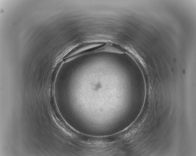 X0000087550533200705041330