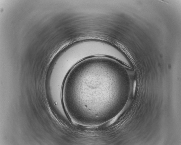 X0000087550534200705041330