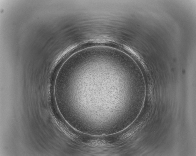 X0000087550535200705041330