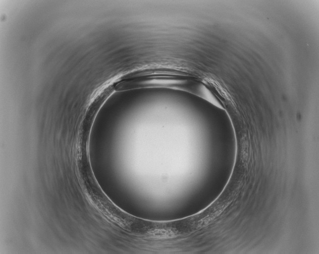 X0000087550536200705041330