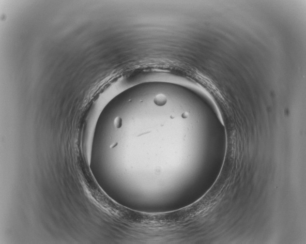 X0000087550538200705041330