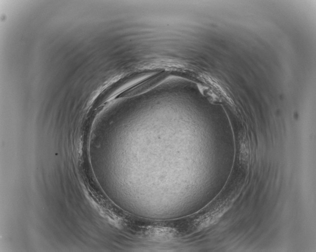 X0000087550539200705041330