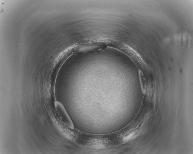 X0000087550540200705041330