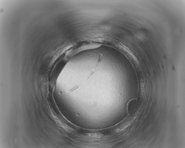 X0000087550541200705041330