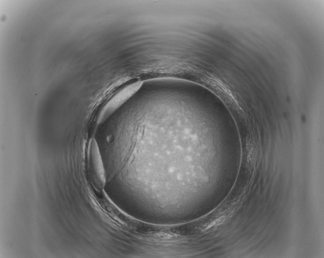 X0000087550542200705041330