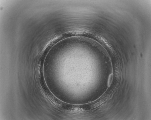 X0000087550543200705041330