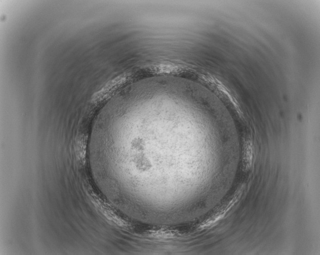 X0000087550545200705041330