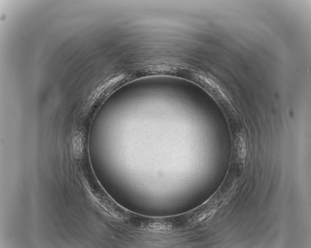 X0000087550546200705041330