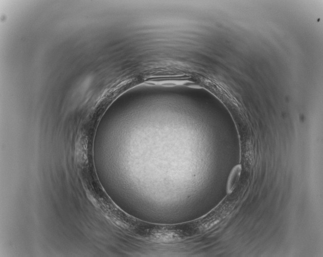 X0000087550547200705041330