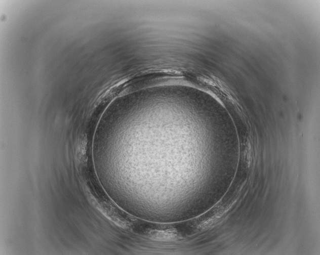 X0000087550548200705041330