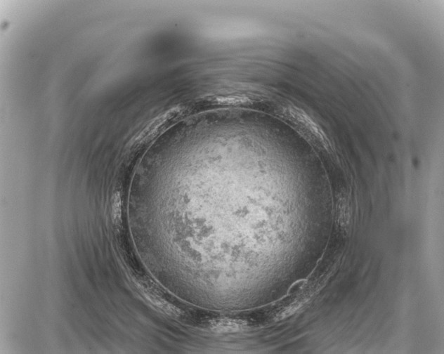 X0000087550549200705041330