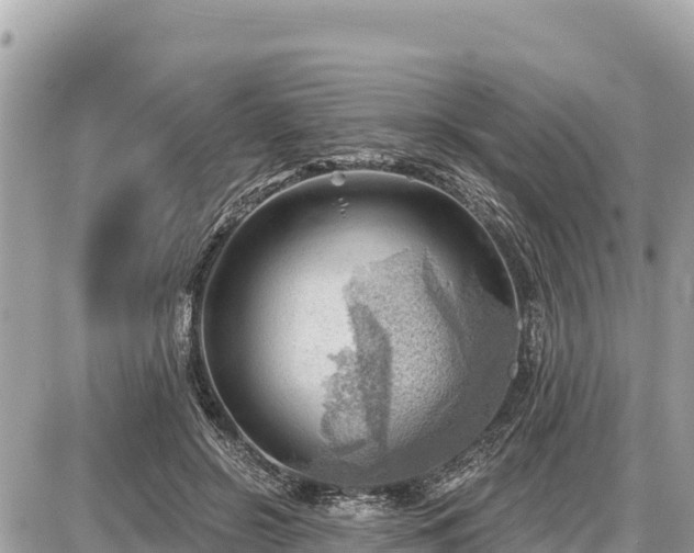 X0000087550550200705041330