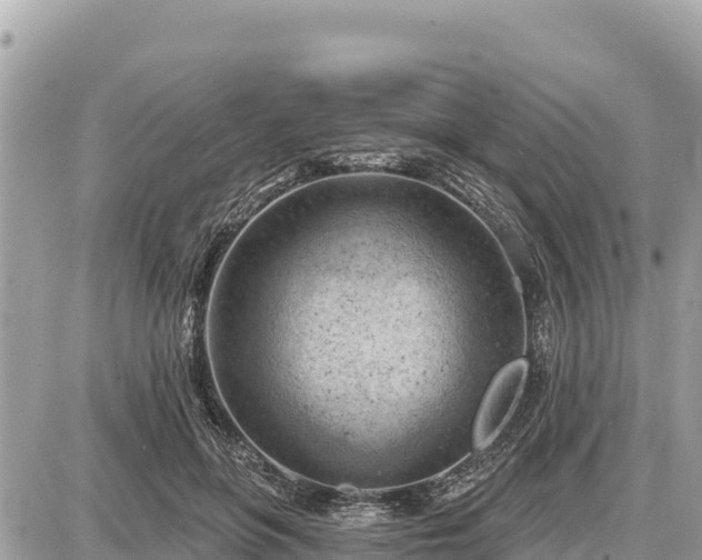 X0000087550551200705041330