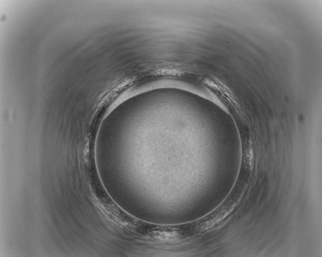 X0000087550552200705041330