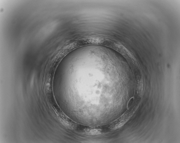 X0000087550553200705041330