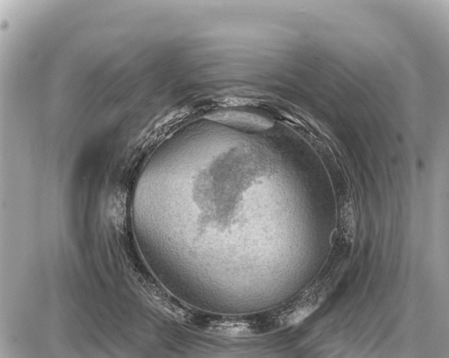 X0000087550554200705041330