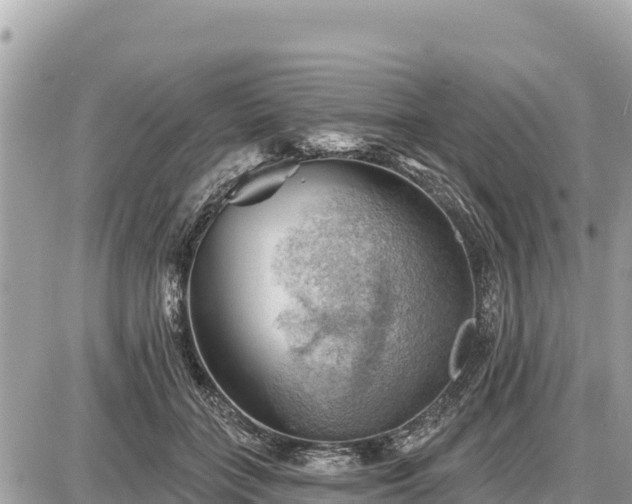 X0000087550555200705041330