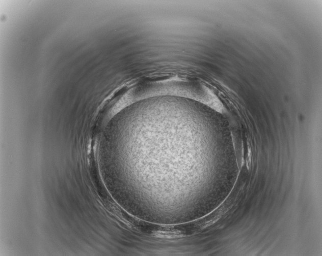 X0000087550556200705041330