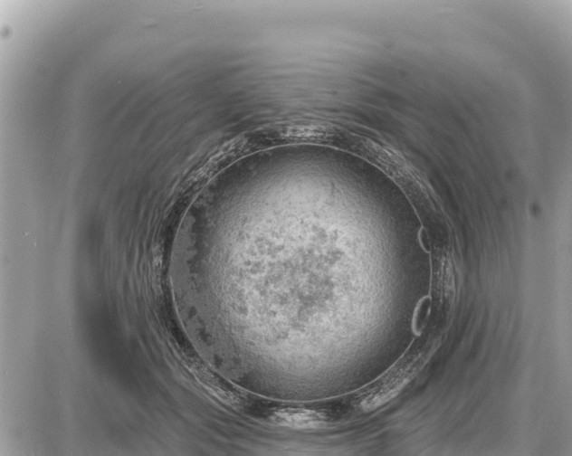 X0000087550557200705041331