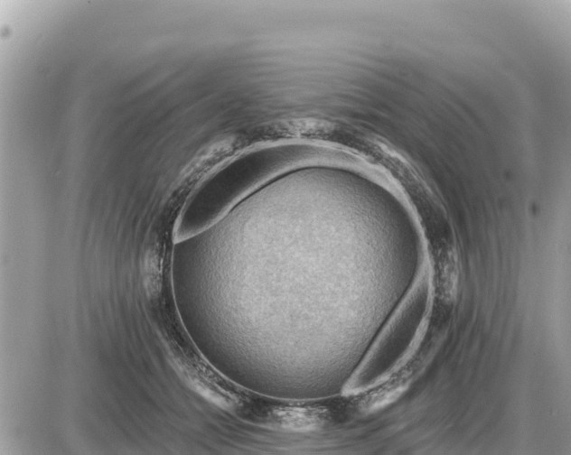 X0000087550558200705041331