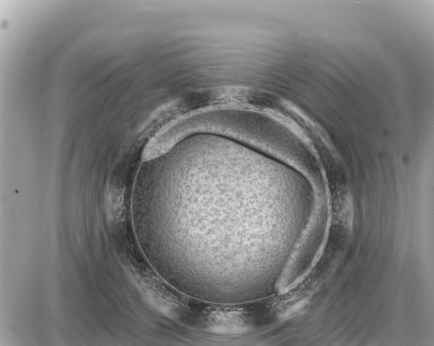 X0000087550560200705041331