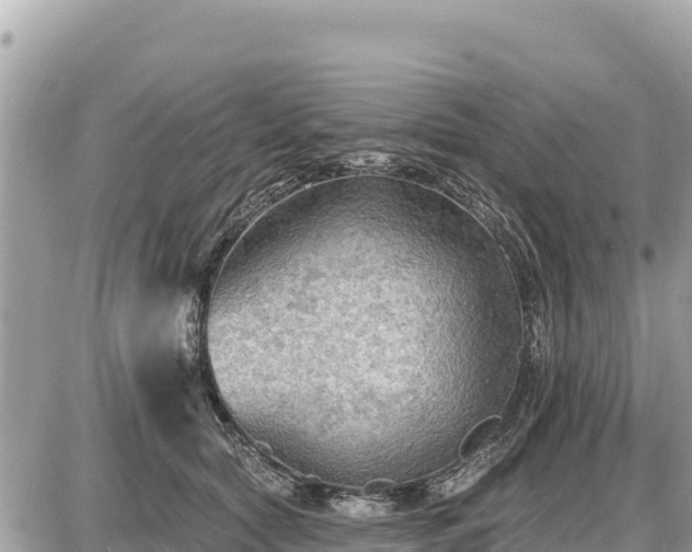 X0000087550561200705041331