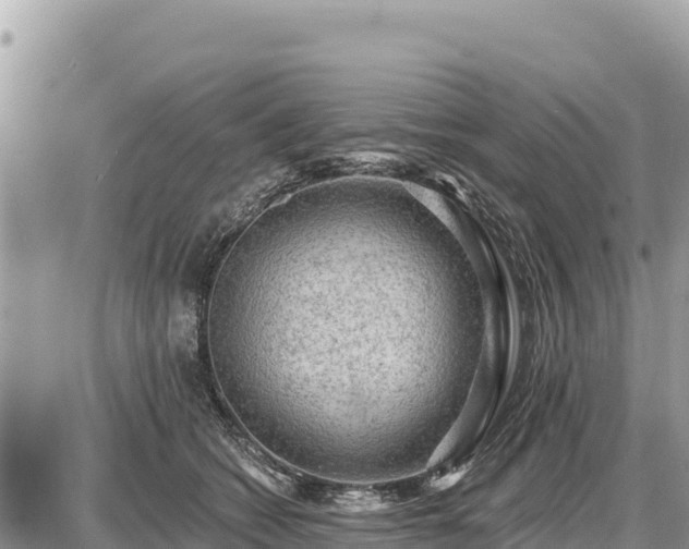 X0000087550562200705041331