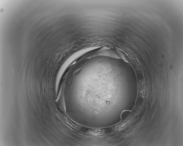 X0000087550563200705041331