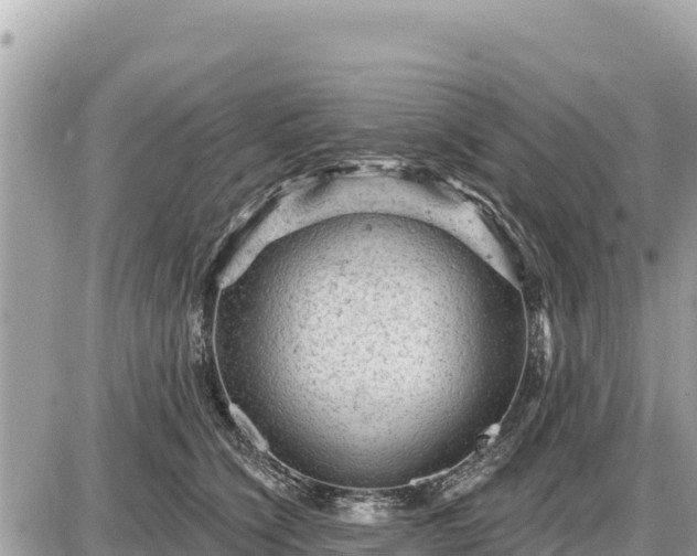 X0000087550564200705041331