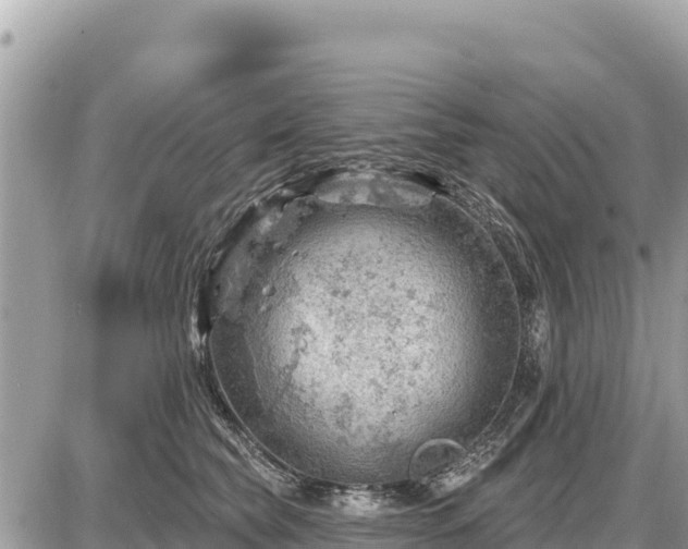 X0000087550565200705041331