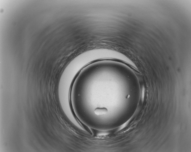 X0000087550566200705041331