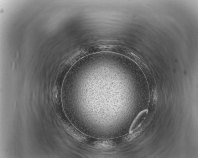 X0000087550567200705041331