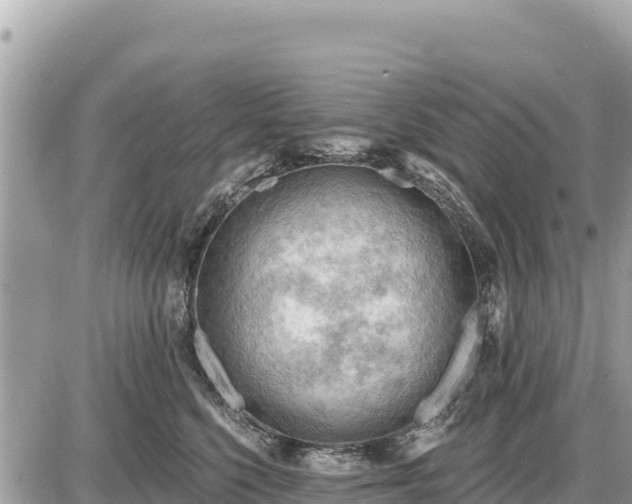 X0000087550568200705041331