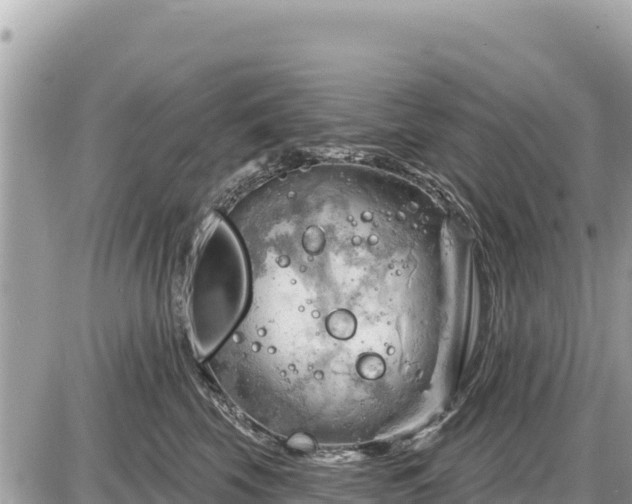 X0000087550569200705041331