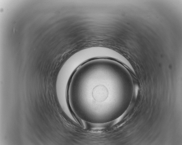 X0000087550570200705041331