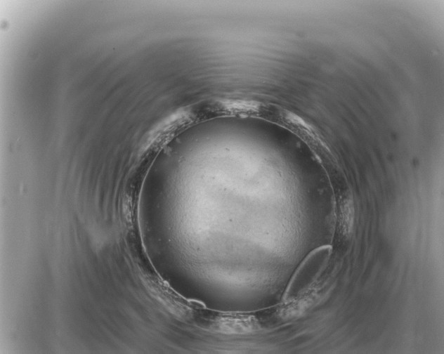 X0000087550571200705041331