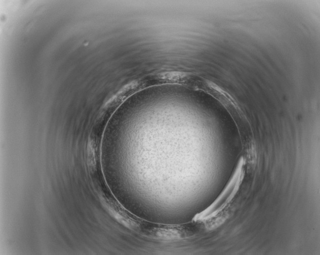 X0000087550572200705041331