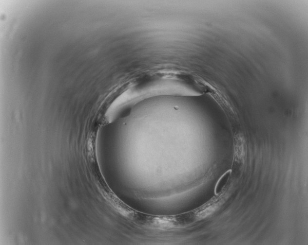 X0000087550573200705041331