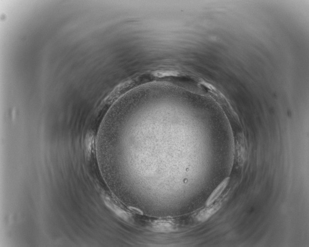 X0000087550574200705041331