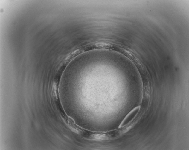 X0000087550575200705041331