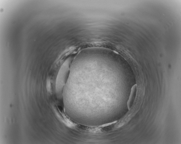 X0000087550576200705041331